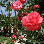 Paradise Garden Evleri Gümüşlük