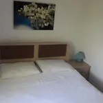 מלון דירות Paradise Garden Evleri
