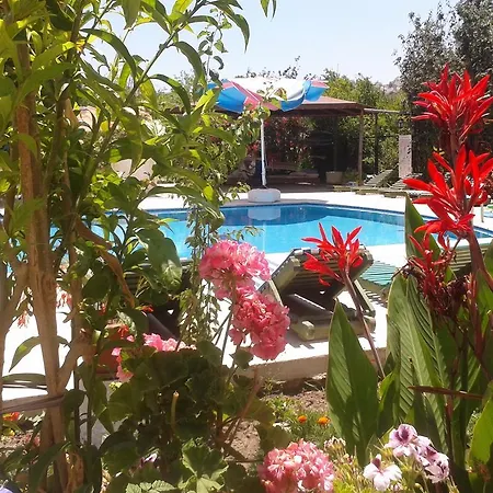 アパートホテル Paradise Garden Evleri 3*