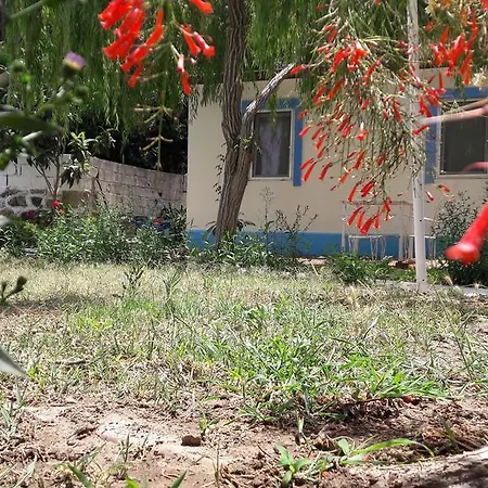 アパートホテル Paradise Garden Evleri 3*