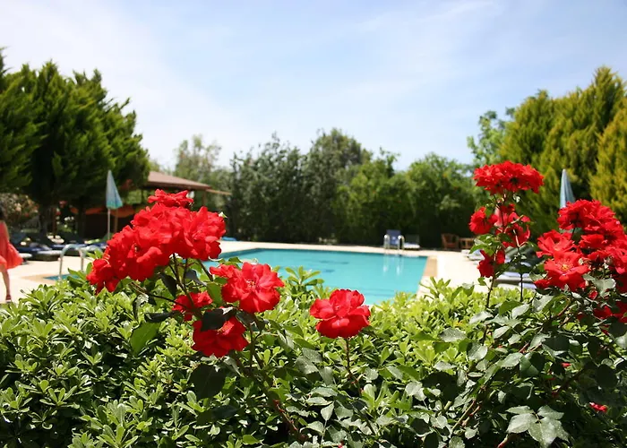 Paradise Garden Evleri Gümüşlük