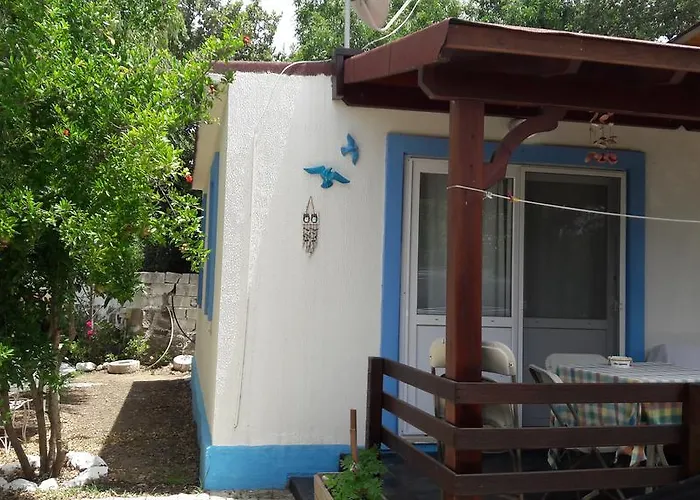 Paradise Garden Evleri