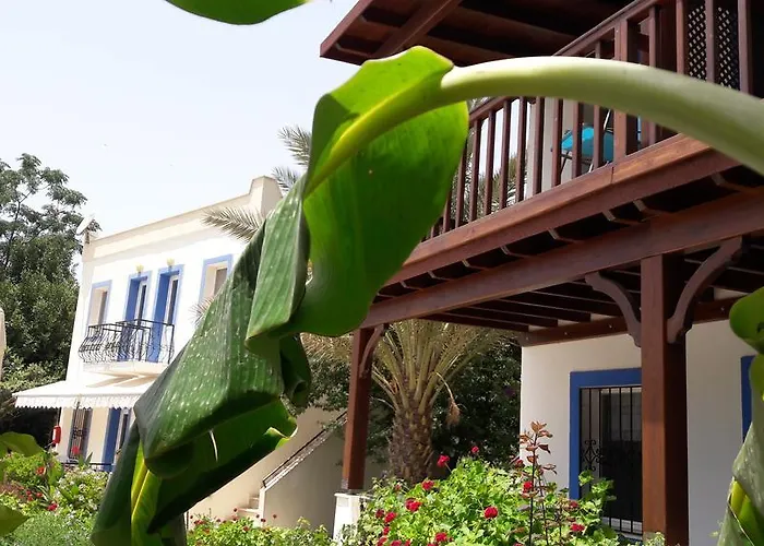 Paradise Garden Evleri